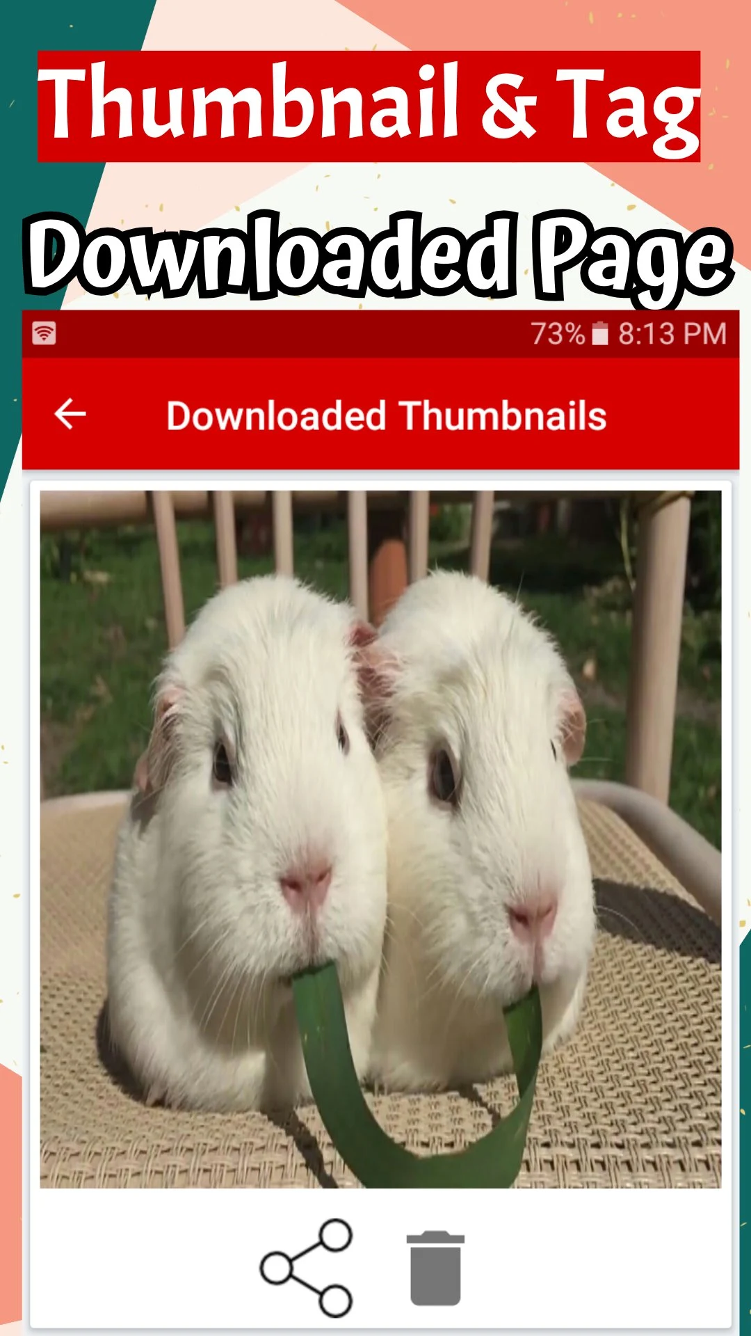 Thumbnail Downloader For Video With Tags screenshot